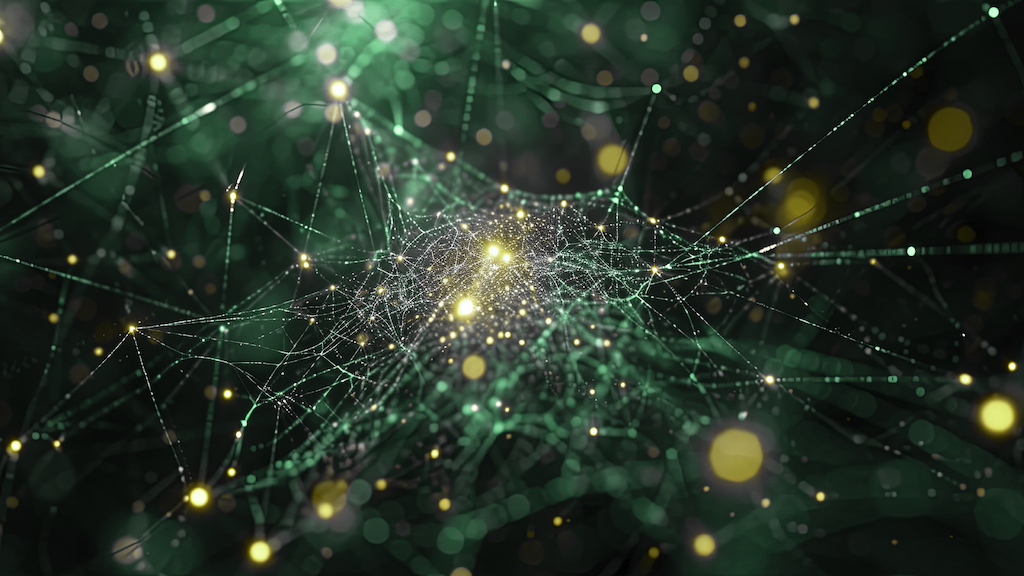 Neural networks representing the endocannabinoid system.